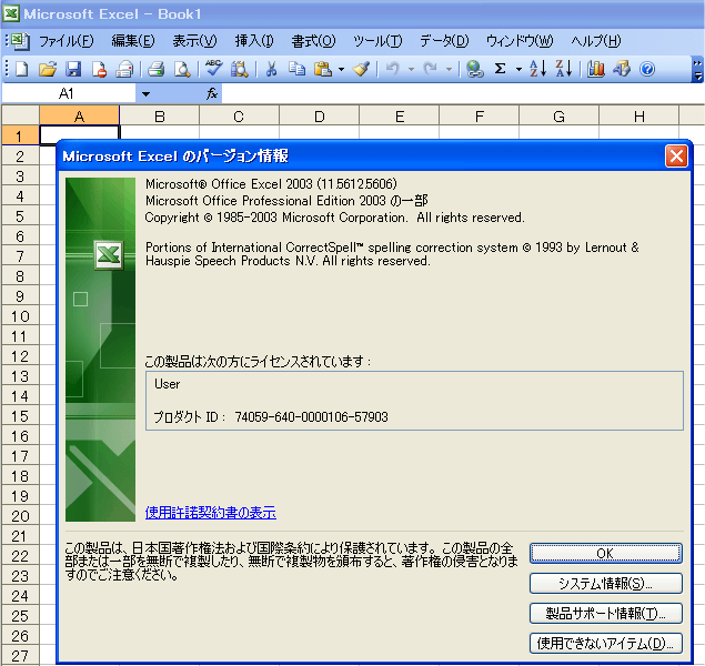 Office2003_6摜